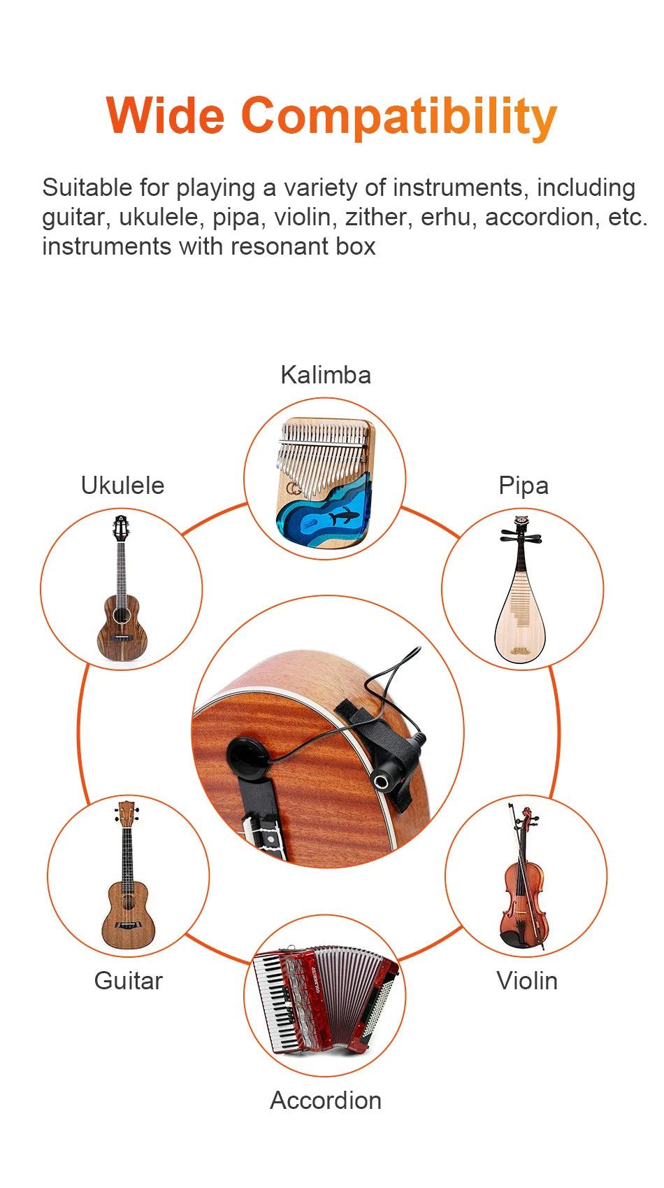 Acoustic Instrument Pickup Compatibility | Sacred Tune